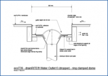 DrainRITE Water Outlet 6 (Dropper) - Ring Clamped Dome